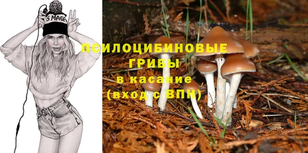 меф Алексин