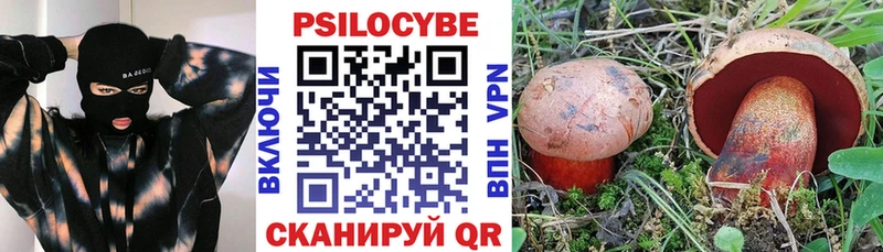 дарк нет Telegram Ипатово Галлюциногенные грибы Cubensis